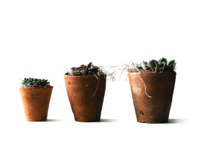 Lead Nurturing mit Marketing Automation- ein Praxisbeispiel