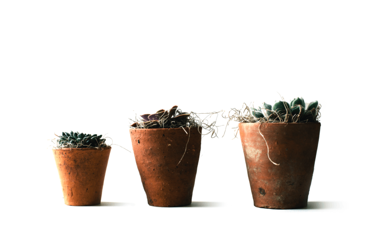 Lead Nurturing